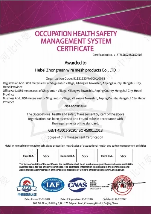 page-certificate-1